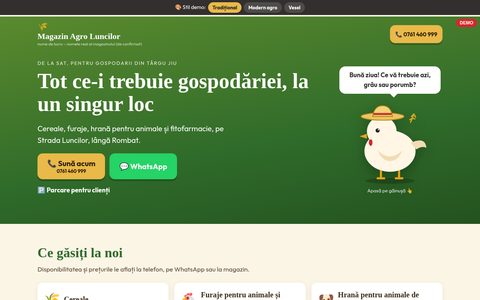 Stilul Tradițional