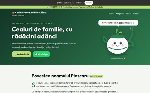 Stilul Modern